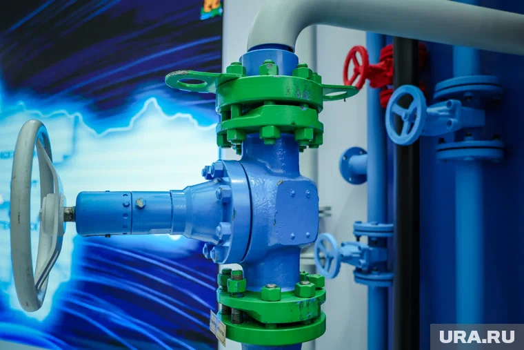 Индия сократила поставки нефти из РФ, но не намерена сворачивать их полностью