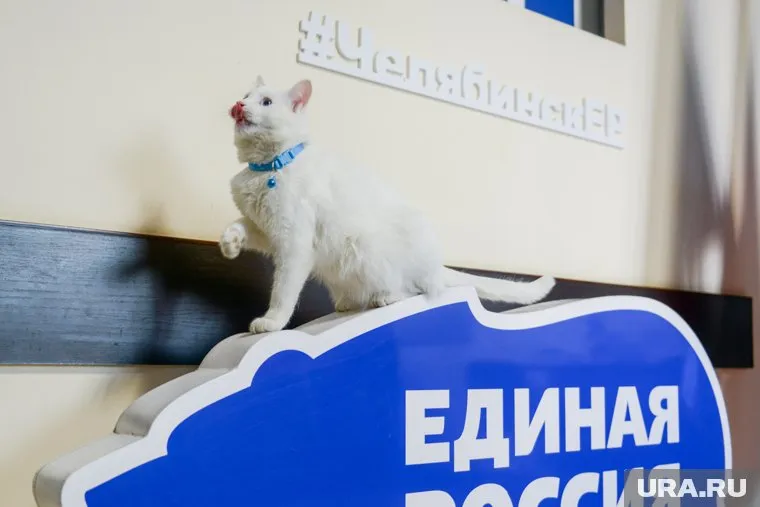 В Златоусте проходят праймериз ЕР до 26 мая