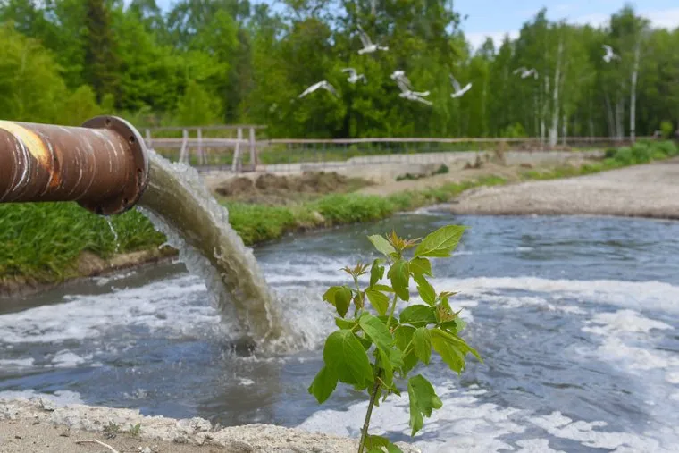 Экскурсия на Южные очистные сооружения (Химмаш). Екатеринбург