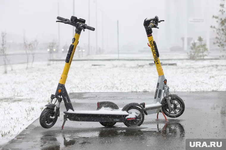 Дождь, снег и мокрый снег сегодня накроют Тульскую и Владимирскую области