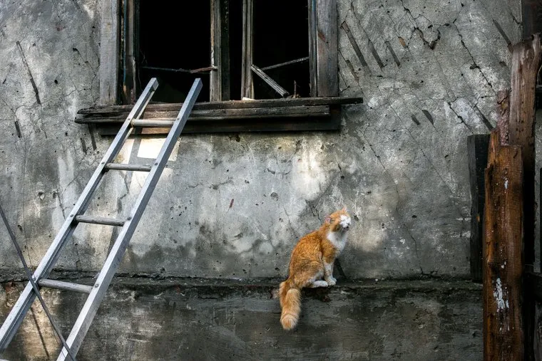 Пожар. Тюмень