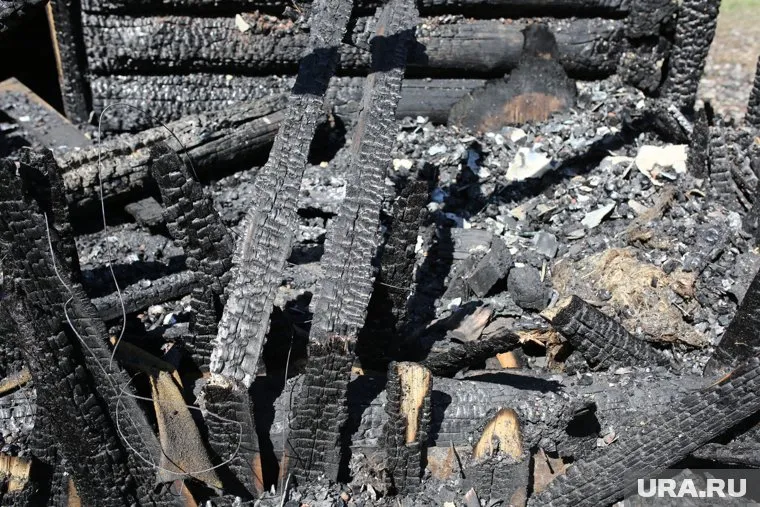 В сгоревшем доме спасатели обнаружили два тела (архивное фото)
