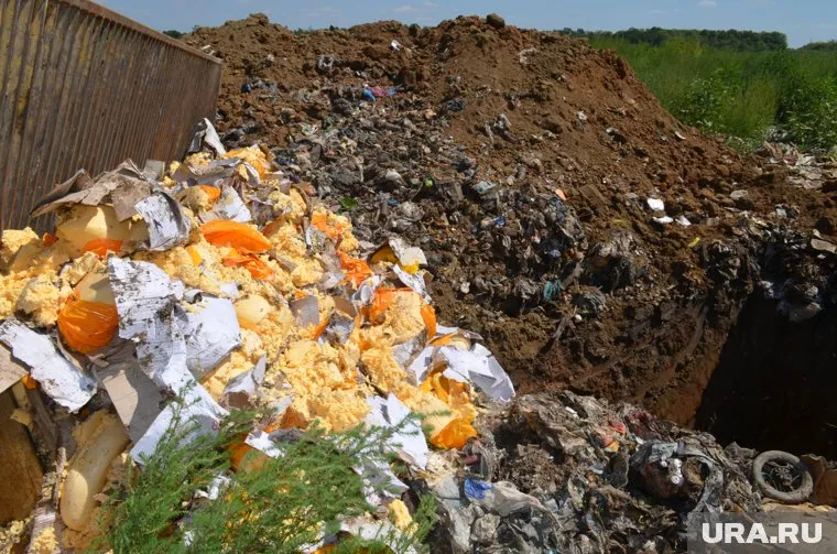 Изъятый сыр будет уничтожен