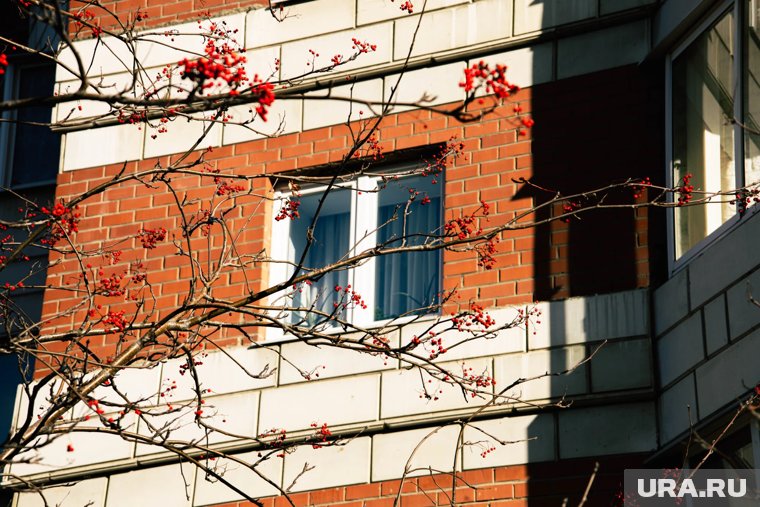 В Челябинске за месяц снизилась стоимость аренды квартир