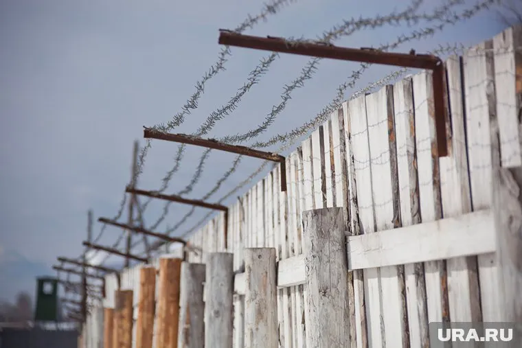 Женщину отправят в колонию после того, как ее ребенку исполнится 14 лет