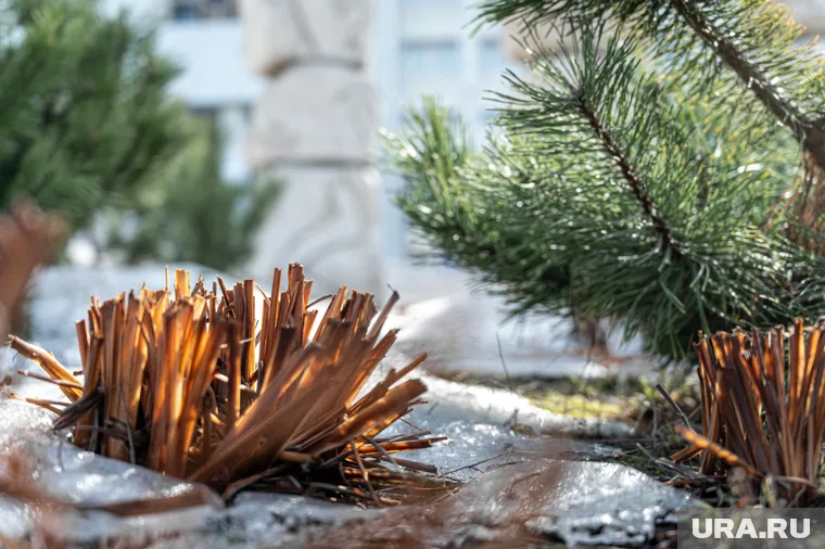 Температура за 65 лет стала выше на полтора градуса