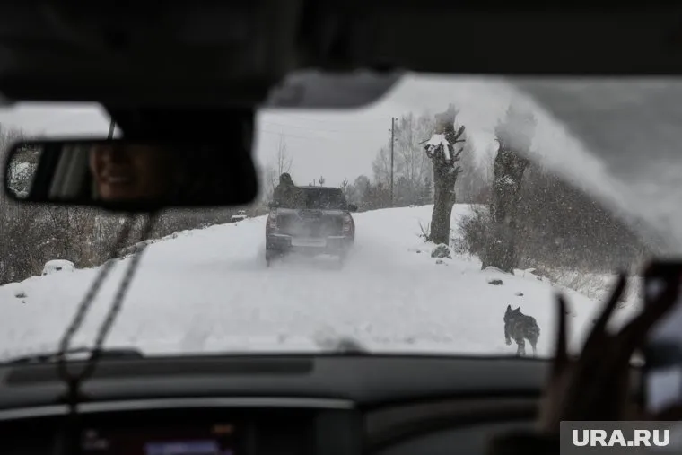 Активные боевые действия на Украине продлятся еще год, заявил Ахра Авидзба