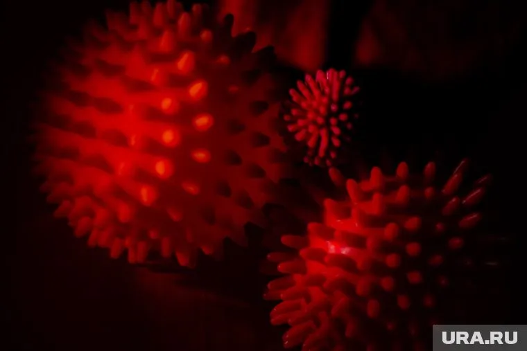 Фотография вируса была сделана под микроскопом