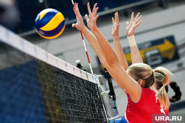 Федерация волейбола вынесла вердикт тренеру «Локомотива»