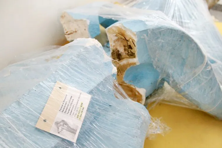 Фонды Тюменского музея, поврежденный при переезде экспонат