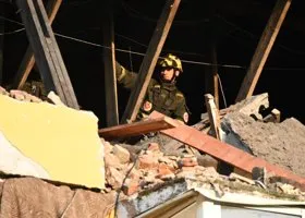 В Кизеле кот сутки был зажат под обломками взорвавшегося дома