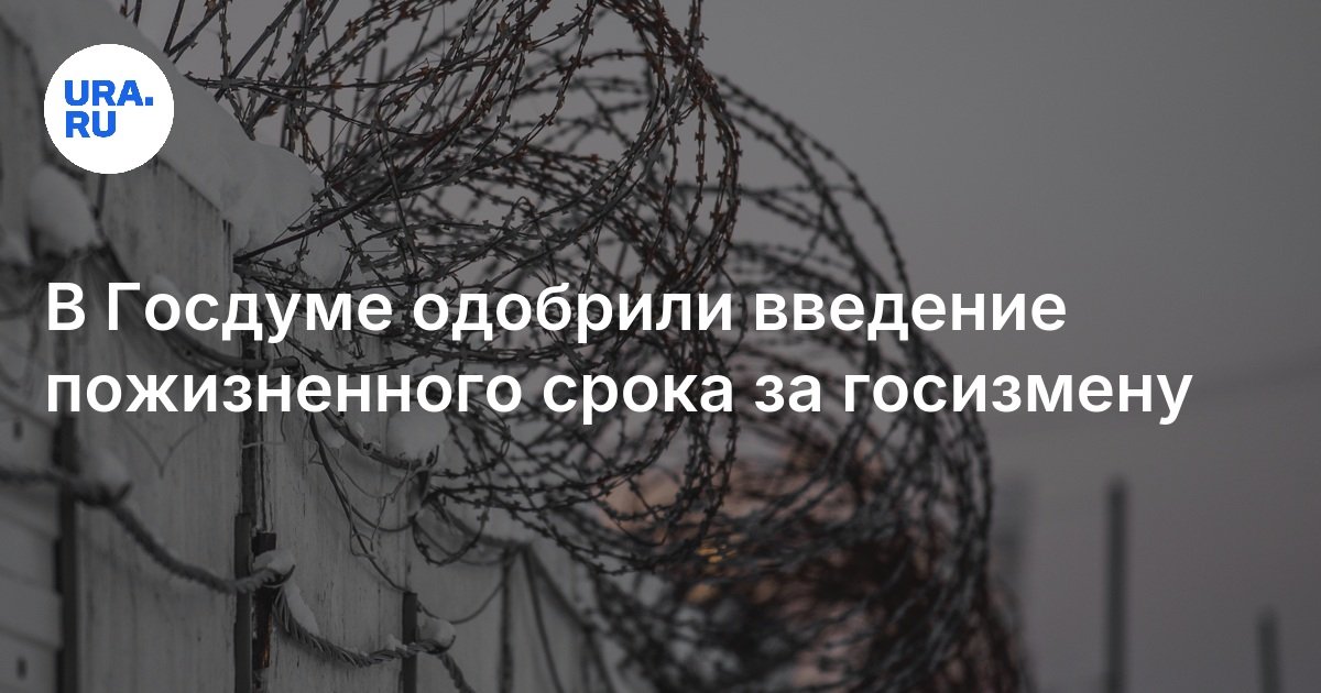 В Госдуме одобрили введение пожизненного срока за госизмену