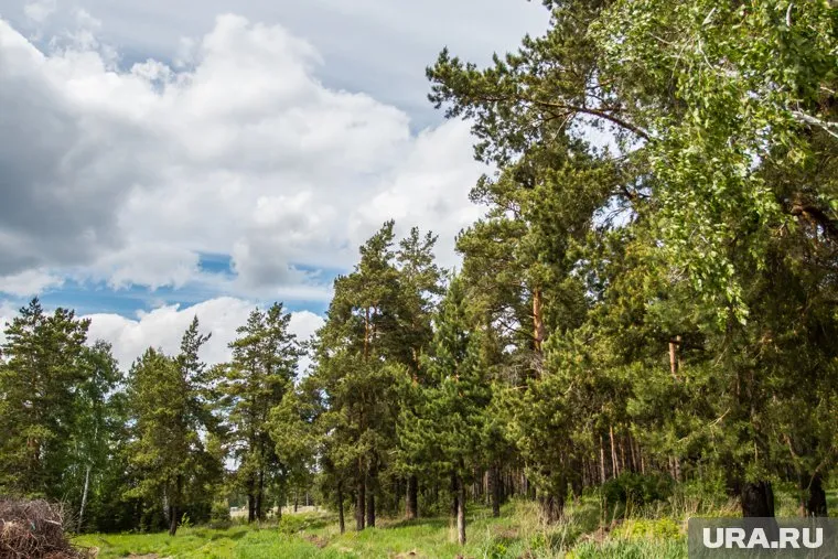 Участок вне закона можно приобрести за полтора миллиона рублей