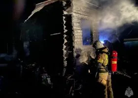 В Челябинской области на пожаре сгорели четверо детей