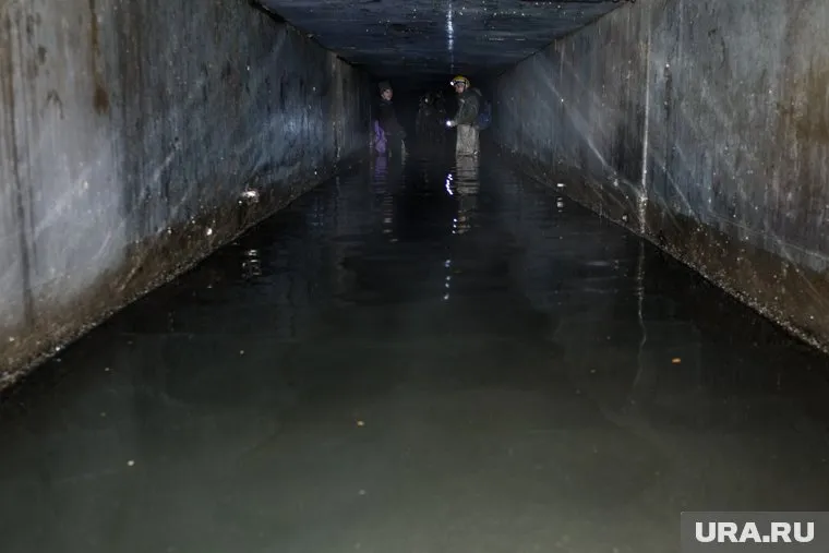 За аттестацией гидов-экстремалов будут следить опытные сотрудники спортивных федераций, сообщили в Минэкономразвития