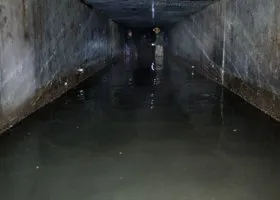 Фотография из галереи