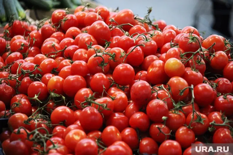 Продукция поступила из Республики Узбекистан