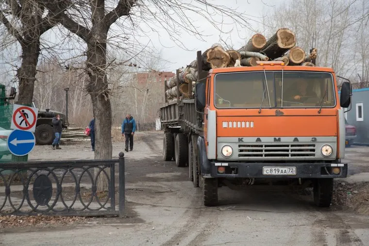 Вырубленный парк, на месте которого планируют построить бизнес-центр. Тюмень, лесовоз, камаз с прицепом, перевозка деревье