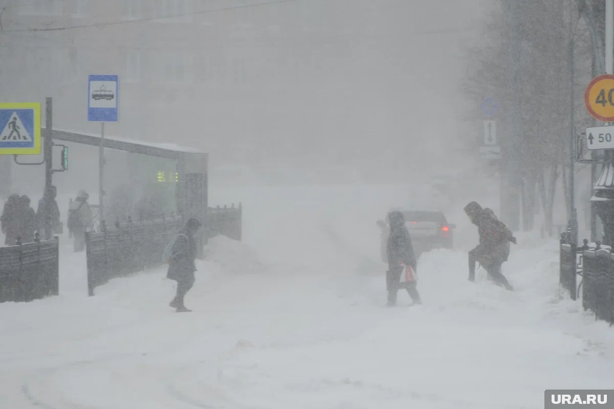 МЧС предупреждает ямальцев о сильном ветре  29 ноября