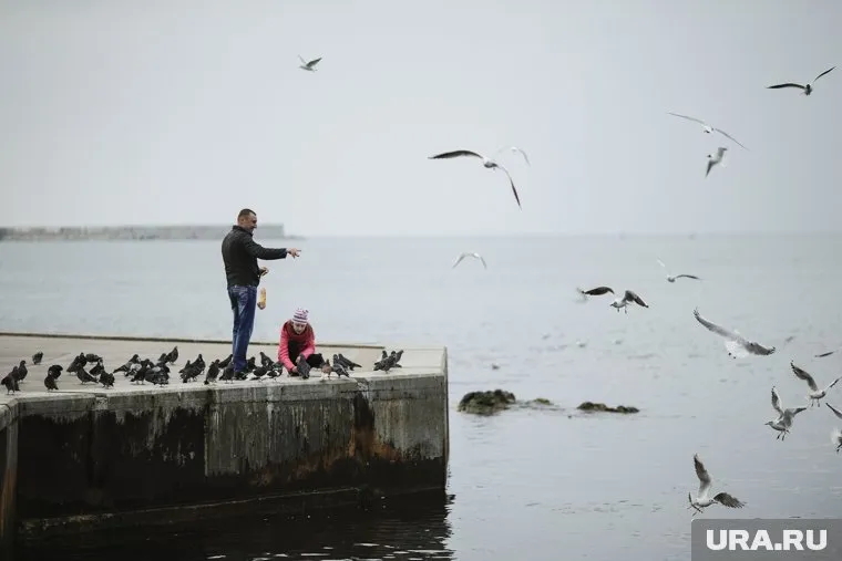 Украинский закон в Крыму считают провальным