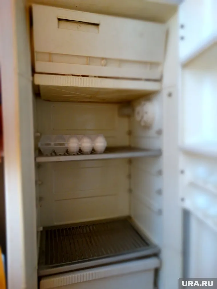 Захлопнув дверцу старого холодильника «Мир», дети
уже не смогли выбраться наружу