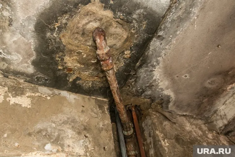 Предоставленное жительнице области жилье оказалось непригодным