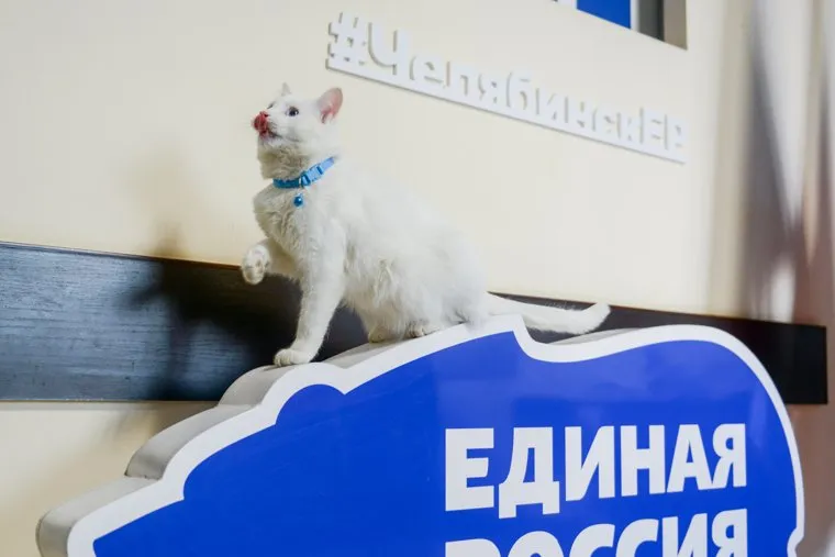 Илья Коломейский заявился на предварительное голосование (праймериз) «Единой России». Челябинск