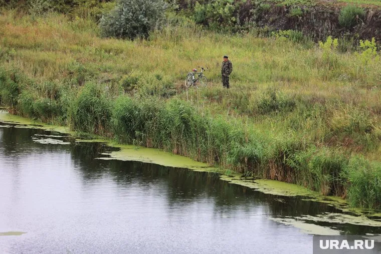 За два года рыба практически исчезла