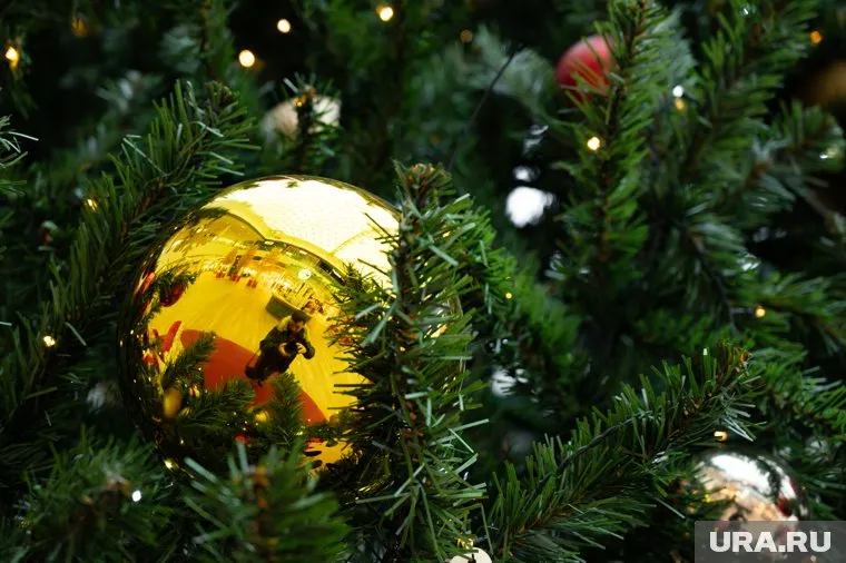 Анна Цивилева исполнила мечту девочки посетить московский цирк