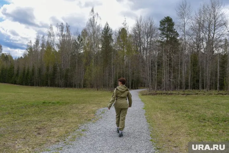 Человек должен быть подготовленным к плохому сценарию похода в лес