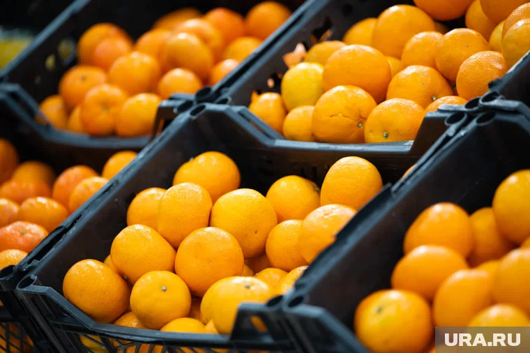 Зараженные мандарины обнаружили на одной из плодоовощных баз Екатеринбурга 