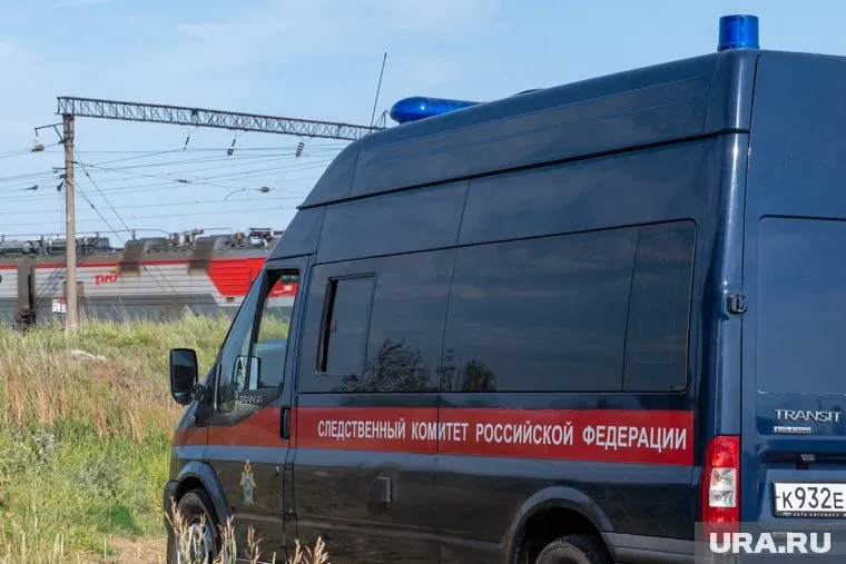 Руководителю СУ по Челябинской области поручено доложить об установленных обстоятельствах