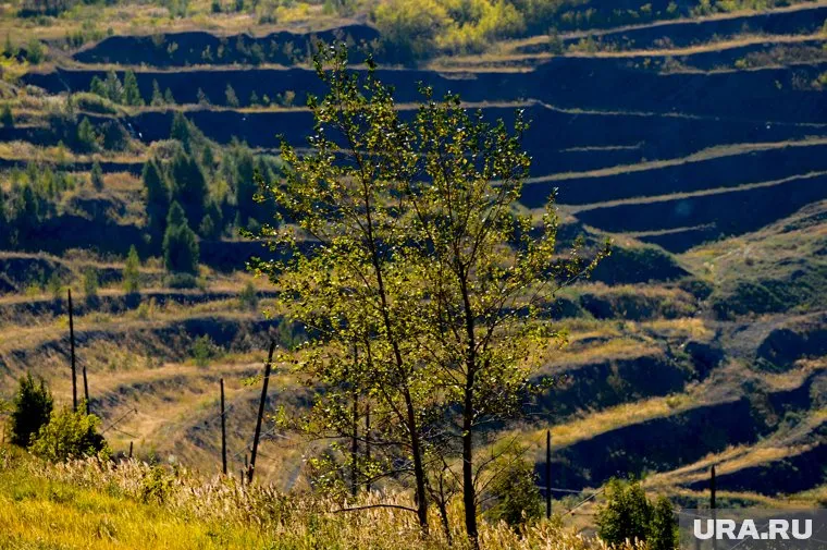 На "Мечеле" выпуск угля во втором квартале снизился 