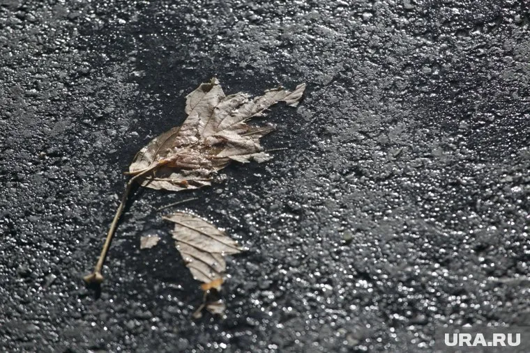 Заморозки пришли в регион 24 сентября (архивное фото)