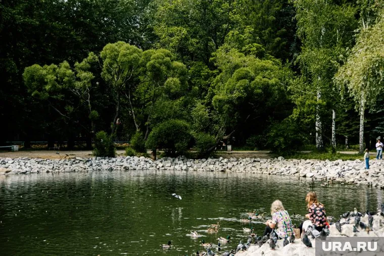 Июль будет ненамного, но теплее нормы