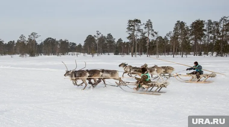 Президент ассоциации КМНСС РФ Григорий Ледков займется вопросом водки с названием коренного народа
