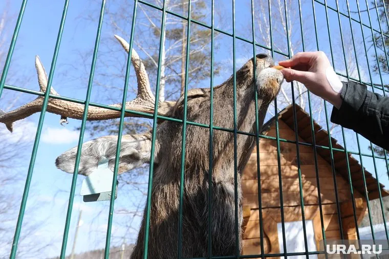 ХМАО и ЯНАО заманивают свердловских туристов местной экзотикой