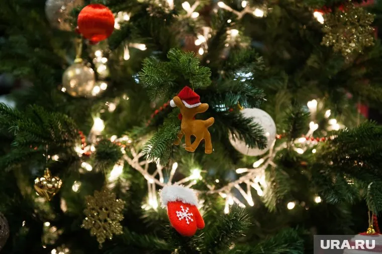 Детям беженцев и участников СВО важно подарить праздничное настроение, считает Турчак