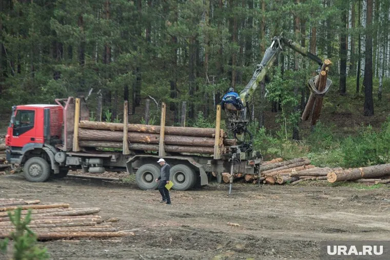 На месте вырубленного леса была построена промышленная база