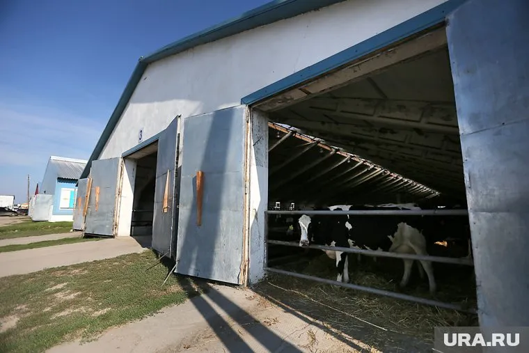В хозяйствах проверили соблюдение закона об охране окружающей среды