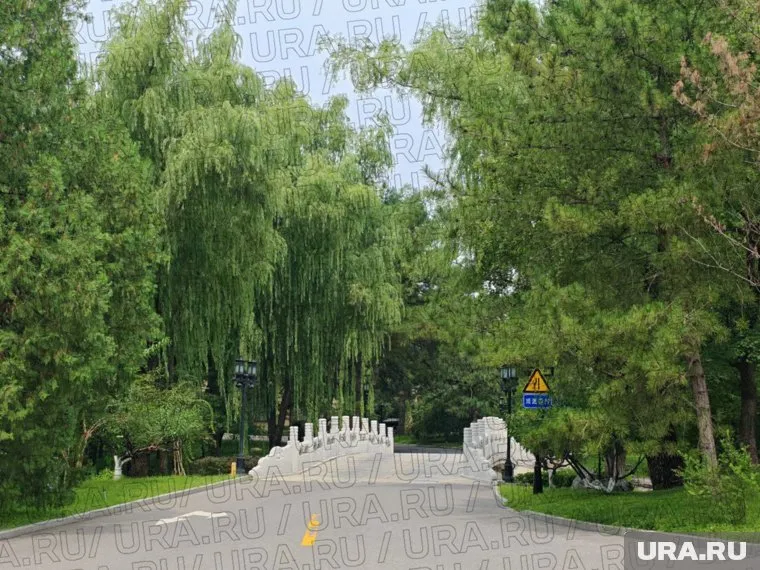 Владимир Путин и Си Цзиньпин проведут встречи в резиденции "Дяоюйтай" в Пекине