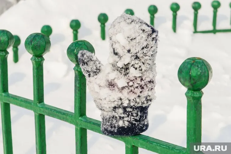 Мать родила и закопала сына в сугроб на даче (архивное фото)