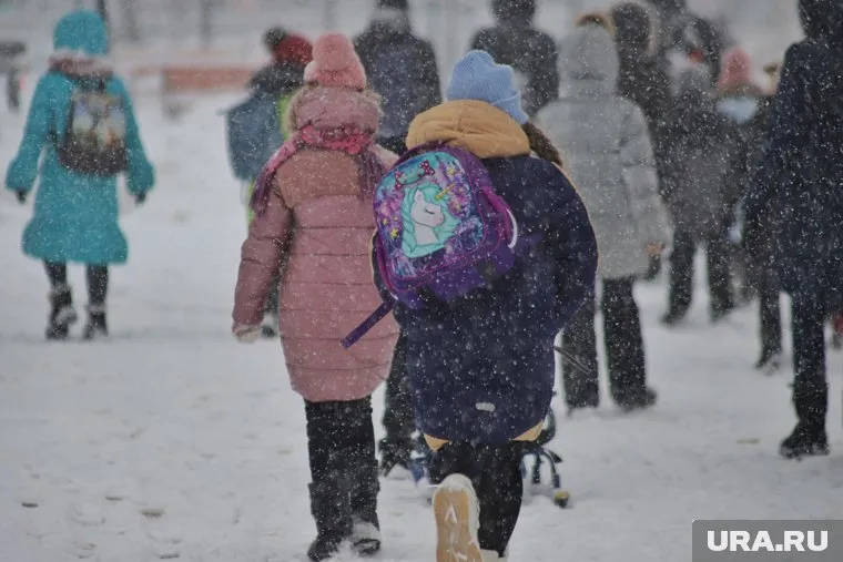Каникулы помогли снизить число заражений