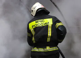 Фотография из галереи