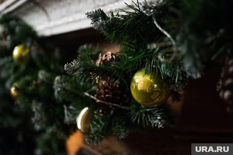 Подростки оставили библиотеку без снежинок и гирлянд