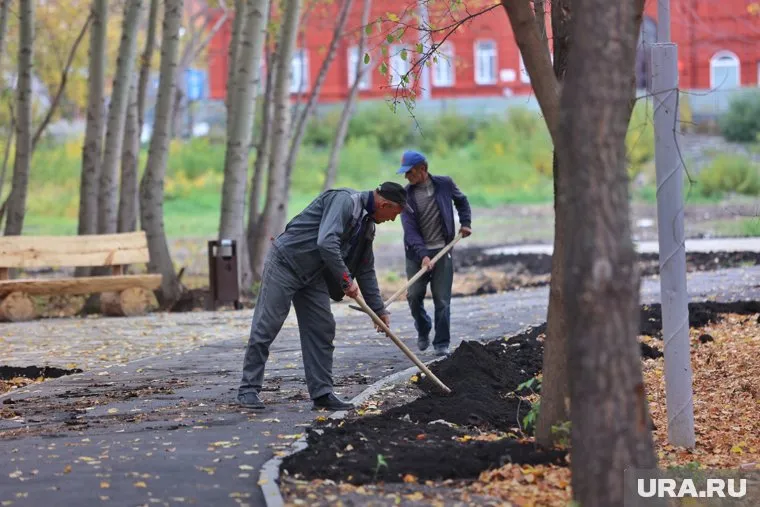 Работы по облагораживанию парка продолжаются