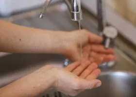 Фотография из галереи