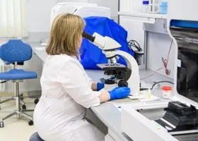 Фотография из галереи