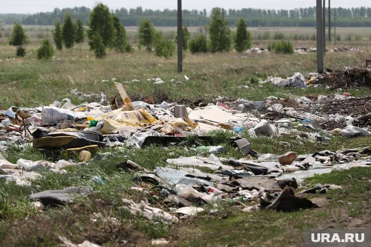 Предполагается, что свалка образовалась из-за организации ООО «Лакико»