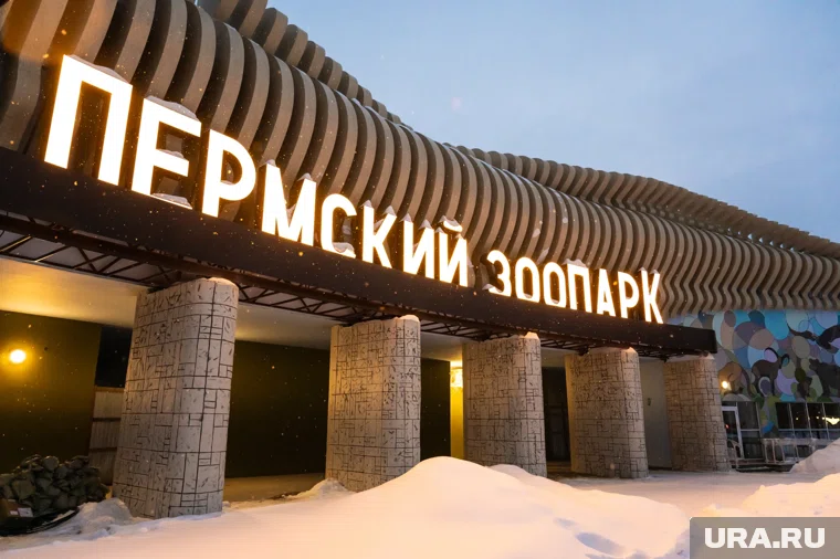 Акцию в зоопарке приурочили ко Дню добровольца